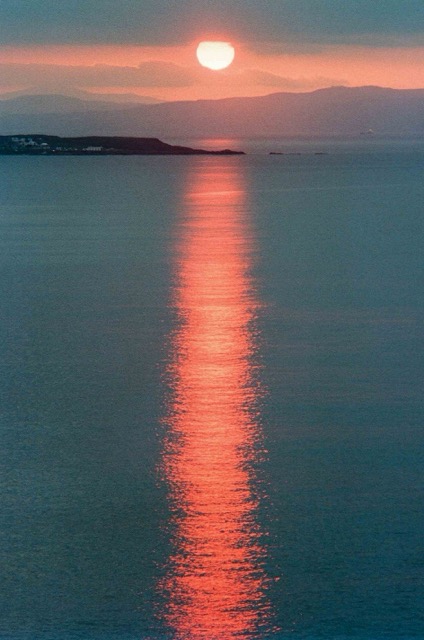 Example taken with NIKKOR.C 80-200mm f/4.5