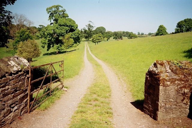 Photograph of an open gate leading down a single track in a country estate