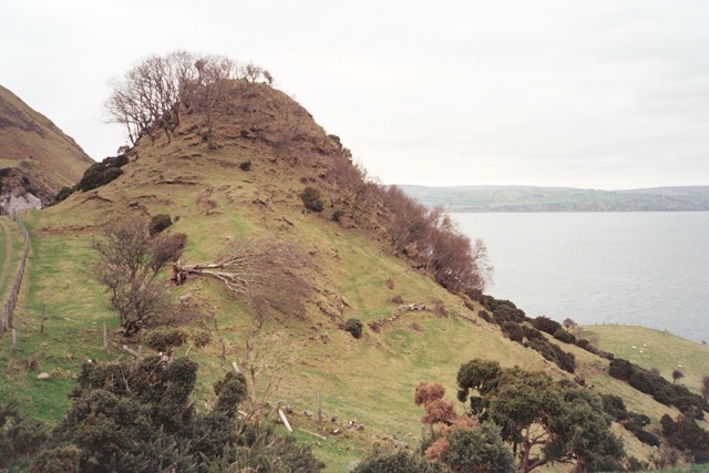 Example of photo with Olympus XA