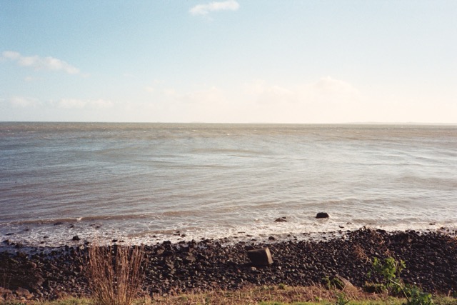 Example of photo with Olympus XA